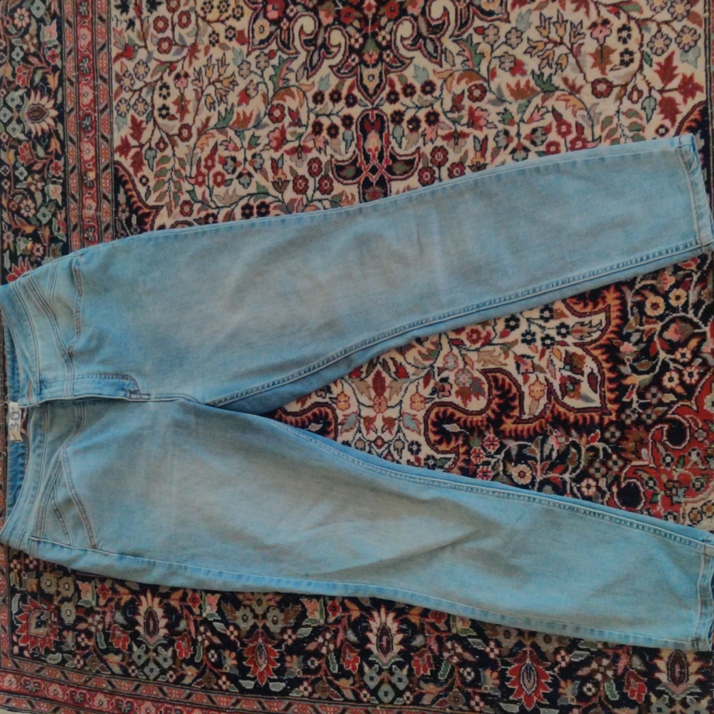 Free People CRVY skinny jeans